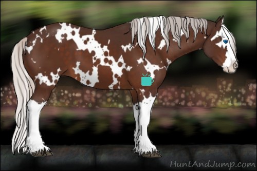 Horse Color:White Spotted Silver Brown Splash 