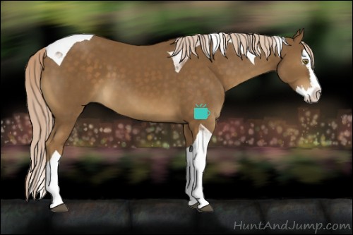 Horse Color:Chocolate Palomino Splash Tobiano 