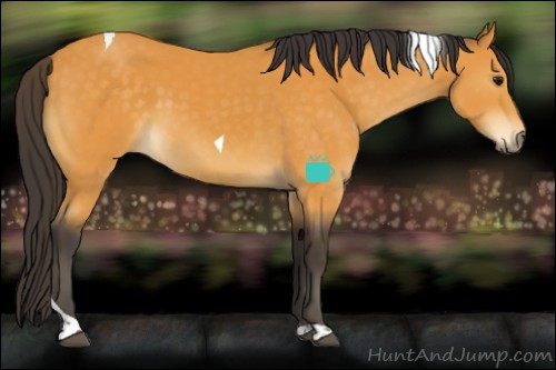 Horse Color:Buckskin Tobiano 
