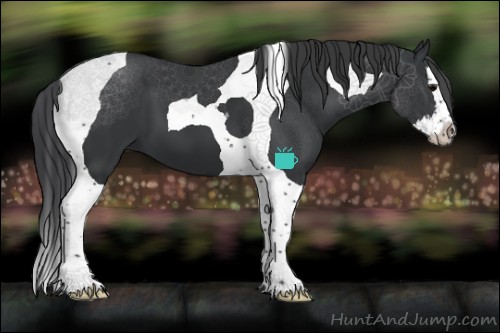 Horse Color:Black Splash Tobiano 