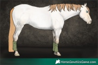 Horse Color:Buckskin Roan Pearl Dun 
