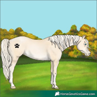 Horse Color:Palomino Pearl 