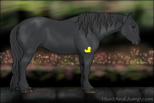 Horse Color:Black Sabino