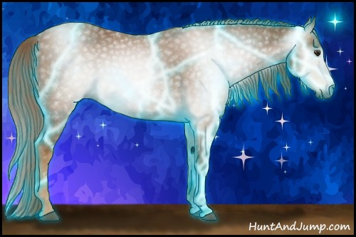 Horse Color:Gray Thunderstruck Red Roan 