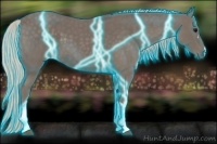 Horse Color:Thunderstruck Silver Blue Roan 