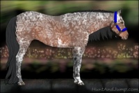 Horse Color:Brown Ice 