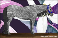 Horse Color:Black Ice 