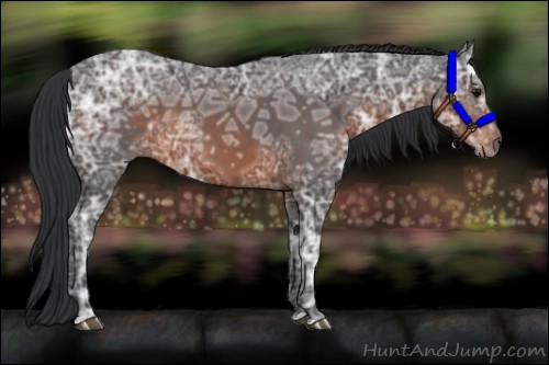 Horse Color:Brown Ice 