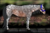 Horse Color:Brown Ice 