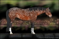 Horse Color:Brown Ice 