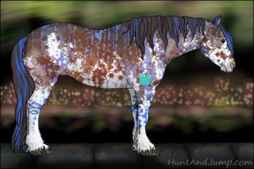 Horse Color:Watercolor White Spotted Bay  and Painted White Spotted Bay Splash Varnish 