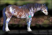 Horse Color:Watercolor White Spotted Bay and Painted White Spotted Bay Splash Varnish