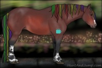 Horse Color:Painted White Spotted Bay Rabicano