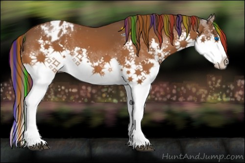 Horse Color:Painted White Spotted Buckskin Splash Appaloosa Rabicano 