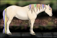 Horse Color:Painted Palomino Pearl Sabino
