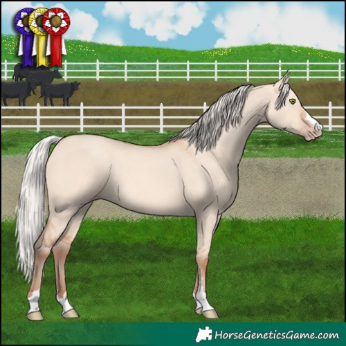 Horse Color:Silver Amber Champagne Dun 