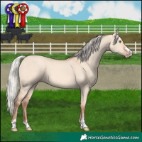 Horse Color:Silver Amber Champagne Dun 