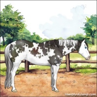 Horse Color:White Spotted Smoky Black Sabino Splash 