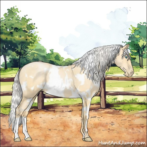 Horse Color:White Spotted Silver Buckskin Pearl 