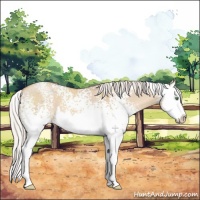 Horse Color:White Spotted Silver Classic Champagne Dun Splash 