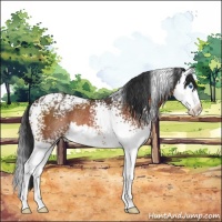 Horse Color:White Spotted Brown Splash Rabicano 