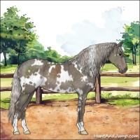 Horse Color:White Spotted Silver Black Sabino 