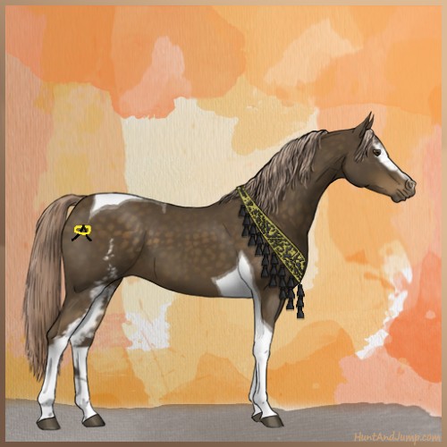 Horse Color:White Spotted Chocolate Palomino Tobiano
