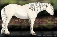 Horse Color:Palomino Pearl 