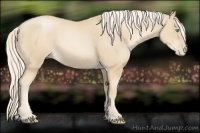Horse Color:Palomino Pearl 
