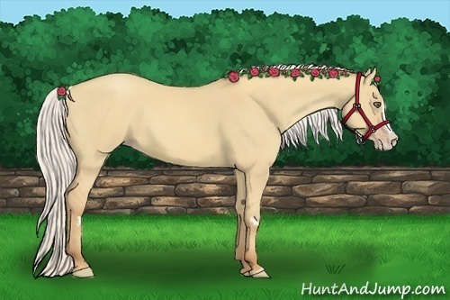 Horse Color:Silver Classic Champagne Dun Splash Frame 