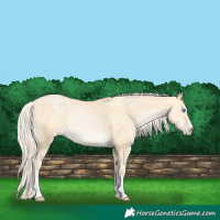 Horse Color:Palomino Pearl 