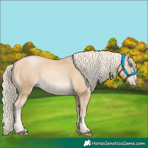 Horse Color:Palomino Pearl Frame 