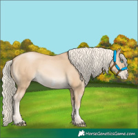Horse Color:Palomino Pearl Frame 