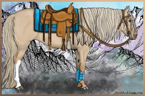 Horse Color:Red Dun Mushroom 