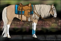 Horse Color:Chestnut Mushroom Splash 