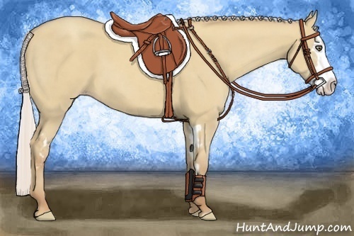 Horse Color:Silver Classic Champagne Dun Splash Frame 