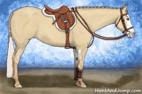 Horse Color:Silver Classic Champagne Dun Splash Frame 