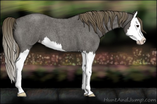 Horse Color:Smoky Blue Roan Splash Varnish 