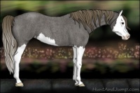 Horse Color:Smoky Blue Roan Splash Varnish