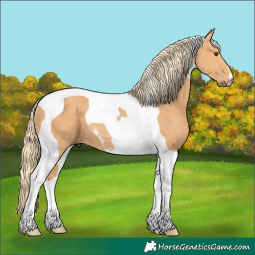 Horse Color:Chestnut Mushroom Tobiano 