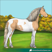 Horse Color:Chestnut Mushroom Tobiano 