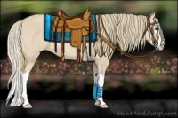 Horse Color:Red Dun Mushroom Splash 