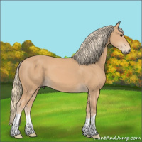 Horse Color:Chestnut Mushroom