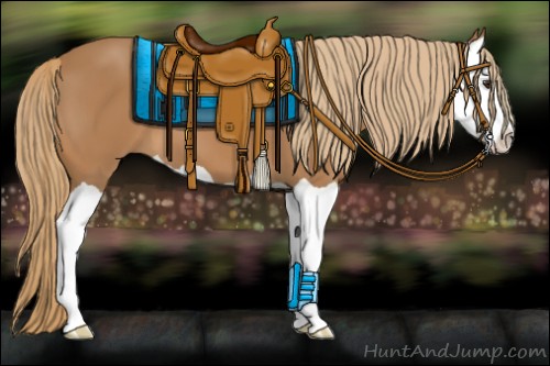 Horse Color:Chestnut Splash 