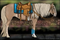 Horse Color:Chestnut Mushroom 