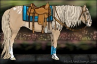 Horse Color:Chestnut Mushroom Appaloosa 