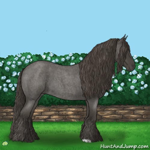 Horse Color:Smoky Blue Roan 