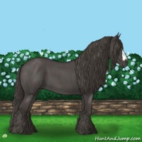 Horse Color:Smoky Blue Roan 