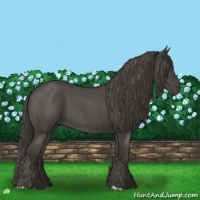 Horse Color:Smoky Blue Roan 