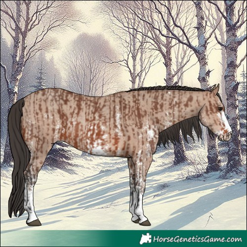 Horse Color:Brown Sabino Rabicano and Sable Champagne Sabino Rabicano